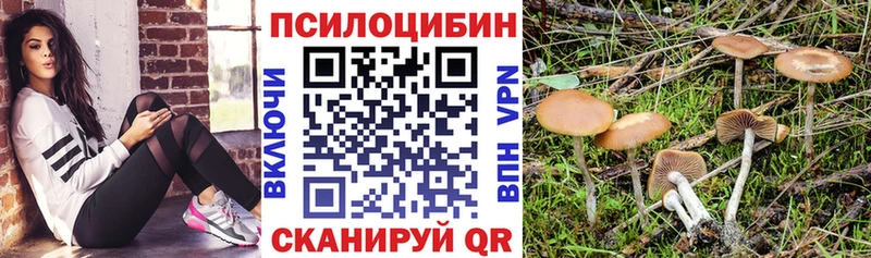 Псилоцибиновые грибы ЛСД  ссылка на мегу онион  Суровикино 